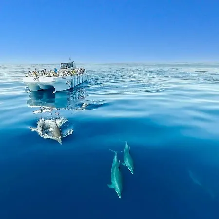 Luxury Walking Distance Gale Albufeira