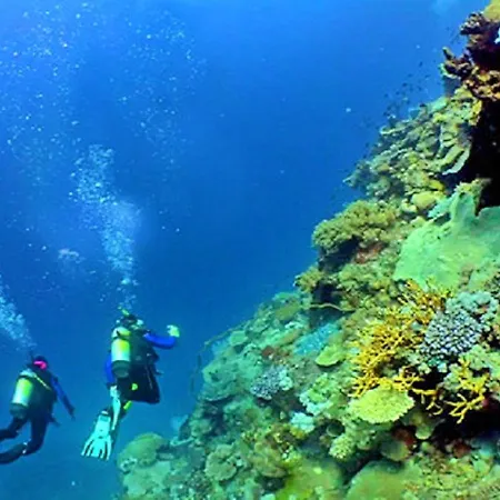 Luxury Walking Distance Gale Vila