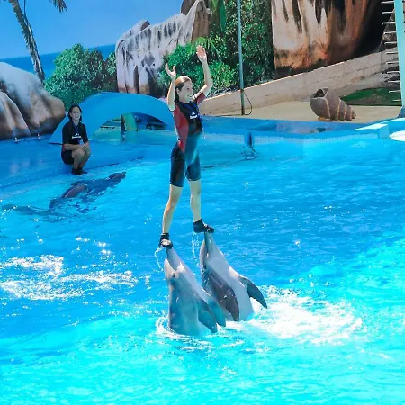 Luxury Walking Distance Gale Vila