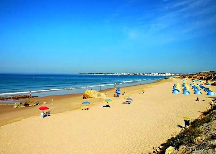 Luxury Walking Distance Gale *